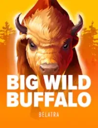 big wild buffalo - logo